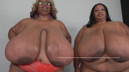 Les super grosses blacks Norma Stitz et Cotton Candi remuent leurs énormes seins - Vidéo porno hd