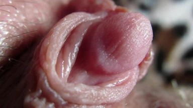Gros plan sur les pulsations de mon clitoris